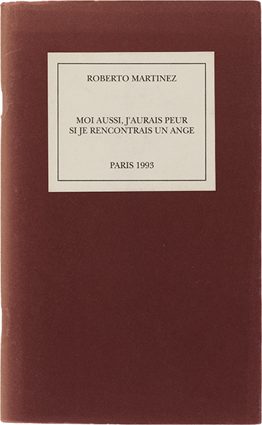 Moi aussi, j'aurais peur si je rencontrais un ange. 2: L’anatomie d’un ange