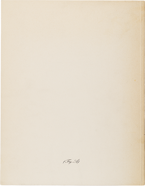 Charles Baudelaire. Je hais le mouvement qui déplace les lignes