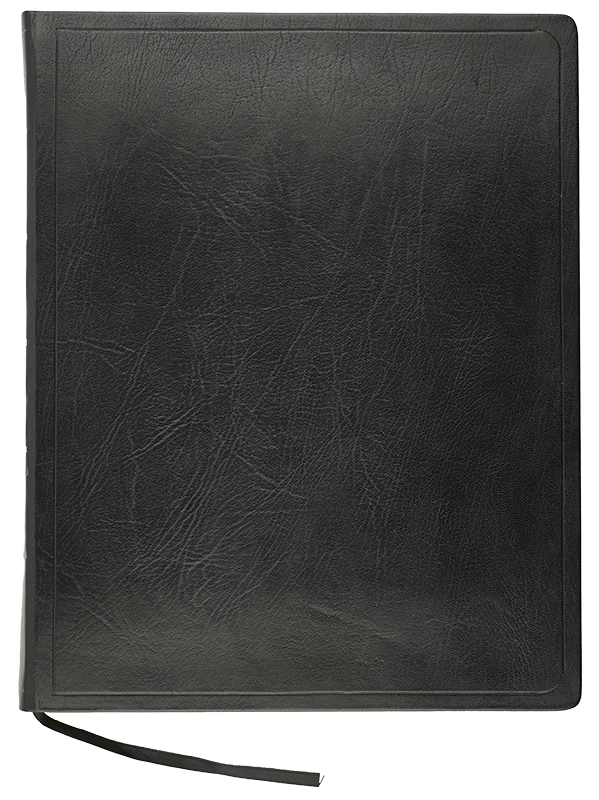 The Holy Bible: Old Testament