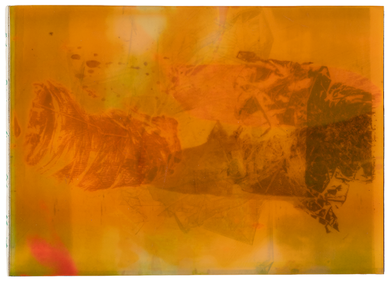 Rot a Prints