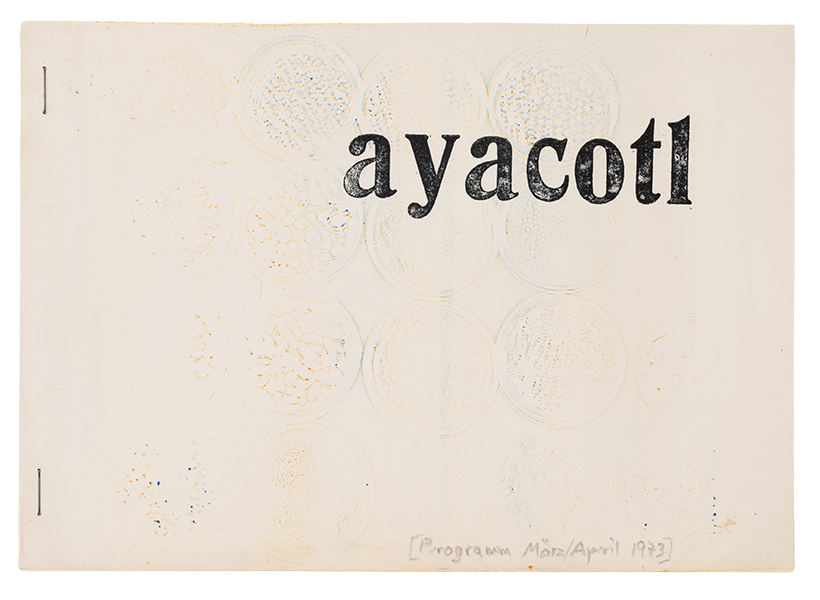 Ayacotl - une collection de haricots secs